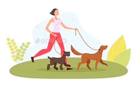 Animal Angels Sitter with dog